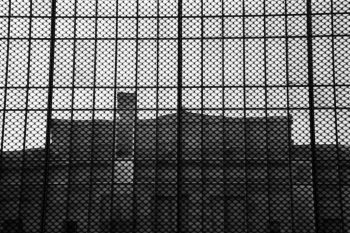Fenced In