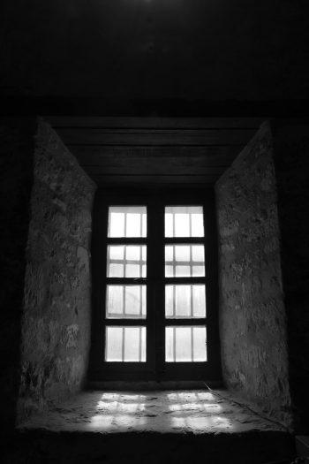 Alamo Window I