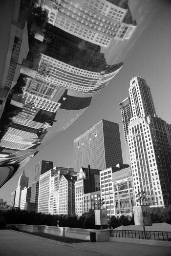 Bean  Reflection I