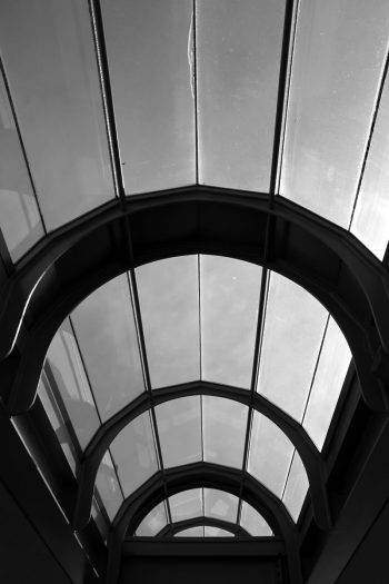 Canopy