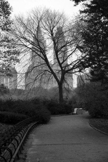 Central Park