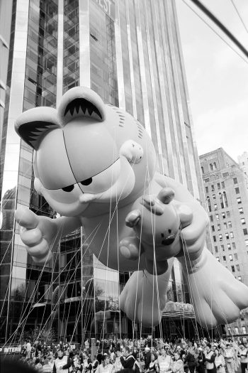 Garfeild