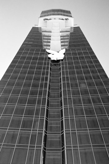 The Palms